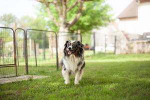 Savannah RIONDET - 0poilphotographie