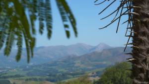 Alexandre LABADIE - LABADIE ALEXANDRE